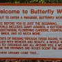 26-Buttlefly World